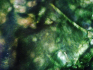 photo/6ae50fa8-0379-4bdf-a5fd-bbd0d3fafe9e-3