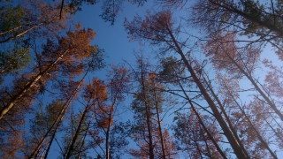 photo/6d0b8409-9733-4efb-9a2e-4976bdf2a7cc-3
