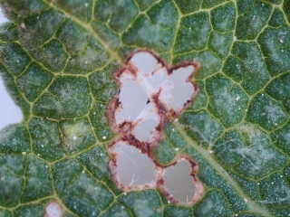 photo/6dbbb743-af33-4e8a-a8e3-01b169f35c6b-3