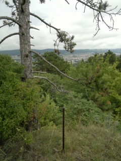 photo/6e8d7e73-591f-4f90-bd55-bffd47963aa7-3