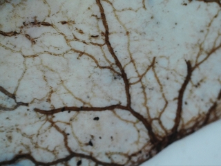 photo/70d74736-1b69-4ff7-8edd-dadc58e41da5-3