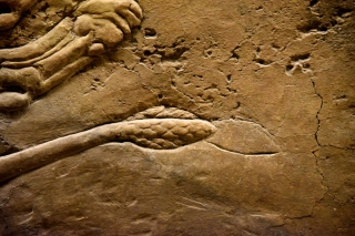 photo/72f394e6-7ac5-46dc-96f8-519bd94759bd-3