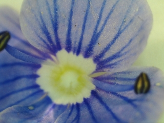 photo/746fd68c-03cb-47dd-a877-a218b93e0025-3