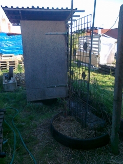 photo/74ad2e1a-2dd9-46a2-8fed-3f234ef96dfb-3