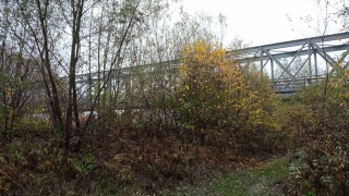 IMG_20201104_113608.jpg