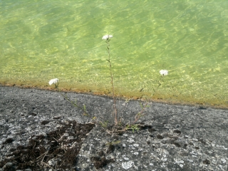 photo/7ab32234-4036-4521-9ba9-cf9a4d53d513-3