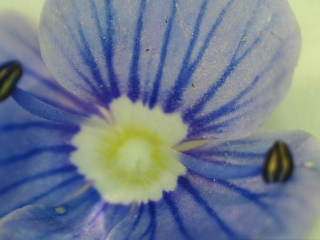 photo/7ada7cdc-5195-4835-8ebe-571932008cee-3