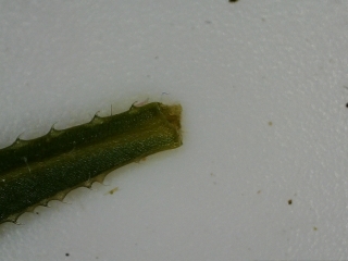 photo/7edbdb0e-4fe6-46da-8175-15567317d189-3