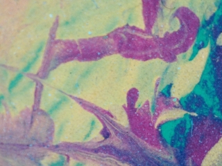 photo/80642596-ad06-43b6-81f5-1ba62f4dbeae-3