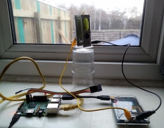 algae_photovoltaics.jpg