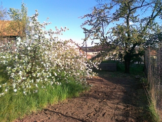 photo/831900a6-3bd3-43c8-8c92-598391999a1d-3