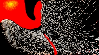 photo/83343192-7929-41c6-b8e2-ae5dbcda45f4-3