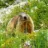 marmotte55%40diaspora-fr.org