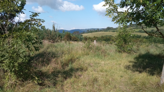 photo/85a3dbeb-4c1a-4241-8ba6-3a7b876f02c8-3