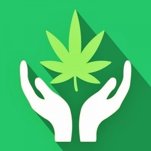 Cannabis Legalisierung DE