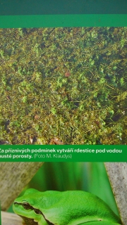 photo/89d9fb52-ae04-4660-bd6a-28a3c8ea4a80-3