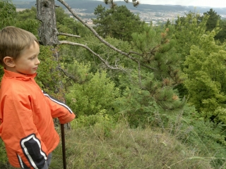 photo/8b3dba7e-c461-44e2-8f8a-3750e1e989ba-3