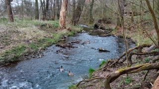 photo/8cf73ed2-077a-494b-9853-c37ed0f90659-3