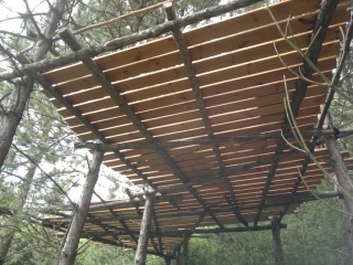 photo/8e0be0de-33b3-41d5-b056-25219df11985-3