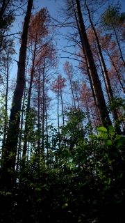 photo/8e5ee87a-b546-43c8-98d8-3caee26684a7-3