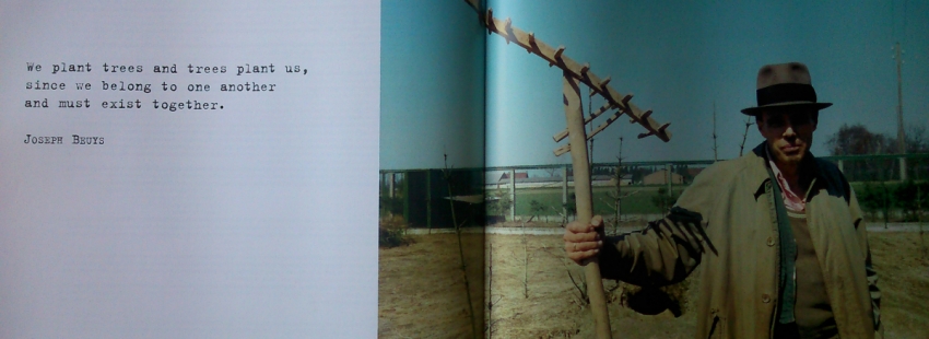 Image/photo