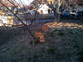 photo/9657acdf-ad98-4e77-aba9-95416d87f79b-3