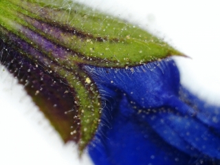 photo/99a68a06-6435-4de6-85b0-435b607b31e8-3