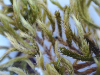 photo/99cb2c7b-8008-40f6-8864-3f9356835680-3