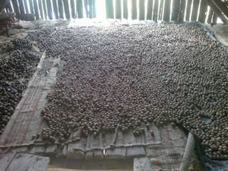 photo/9bcefbd8-1e98-40b1-8405-7f7bf64315fb-3