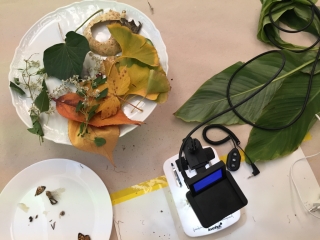 photo/9e4889ed-c9f1-4f68-aef6-171cbfca8335-3