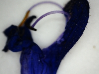 photo/a1249ebd-c4c4-4010-b73b-6bd65c3c2c5a-3