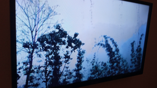 photo/a33eff60-31fd-47c6-9db8-00bc3e0c29e5-3