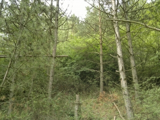 2016