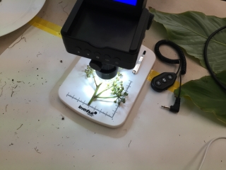 photo/a4de1cef-f2e7-4568-bdc2-42ec4bb3fa03-3