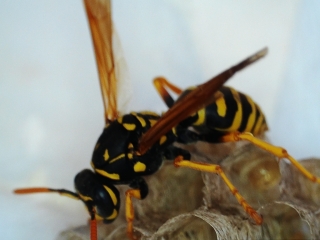 photo/a5744d8c-5f81-4a3a-81d7-5681e8bd6574-3