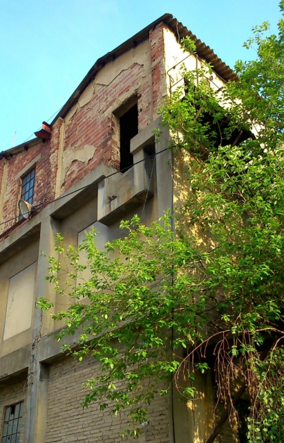 Image/photo