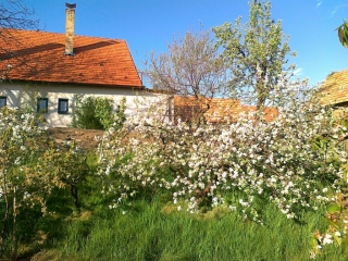 photo/a5a3b1b6-a2de-4ecc-8d25-e61d9f2e2fea-3