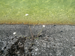 photo/a6f69a6c-f8f7-40d7-840e-4a03b9838a23-3