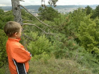 photo/a6fd30d7-73da-4019-999d-0aa52d99f345-3