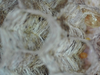 photo/a99190d9-3ed5-439c-8a75-9e7364bbc8ae-3