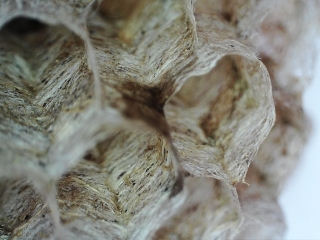 photo/ac363310-2a3d-409f-a221-084ec9a9734f-3