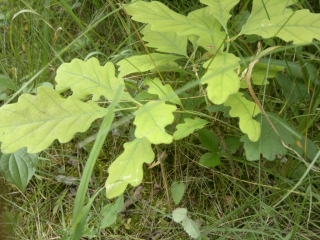 photo/ac698cc1-107f-4046-9bd3-439d9aefeb36-3