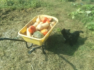 photo/b27d9d1e-f6b2-48ac-8de9-cfc3314052b4-3