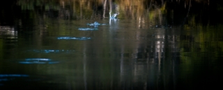 photo/b4d53e67-51d3-4710-b9d5-18cbc9544f9e-3