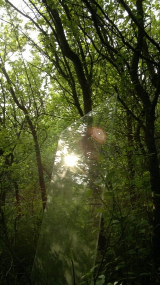 photo/b6268c2c-bc88-4f5d-be04-1e8b28bb5595-3