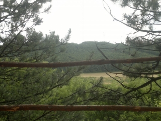 photo/b7ab53ee-c1f9-49c2-afa8-c86cfbffd1dd-3