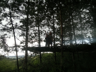 photo/b7cb0253-6a03-4c90-8362-5803036461ad-3