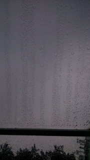 photo/b84cf256-dae3-4c8c-afb8-bea2c64648a0-3