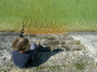 photo/b8988afd-6799-4ed5-99bb-c3508b0d5ac9-3