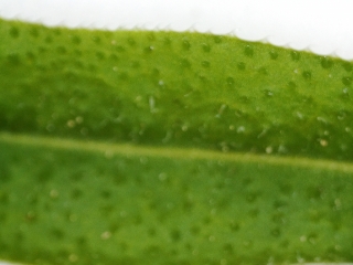 photo/bbc147c8-66cc-46b1-84bf-f56afecca9b0-3